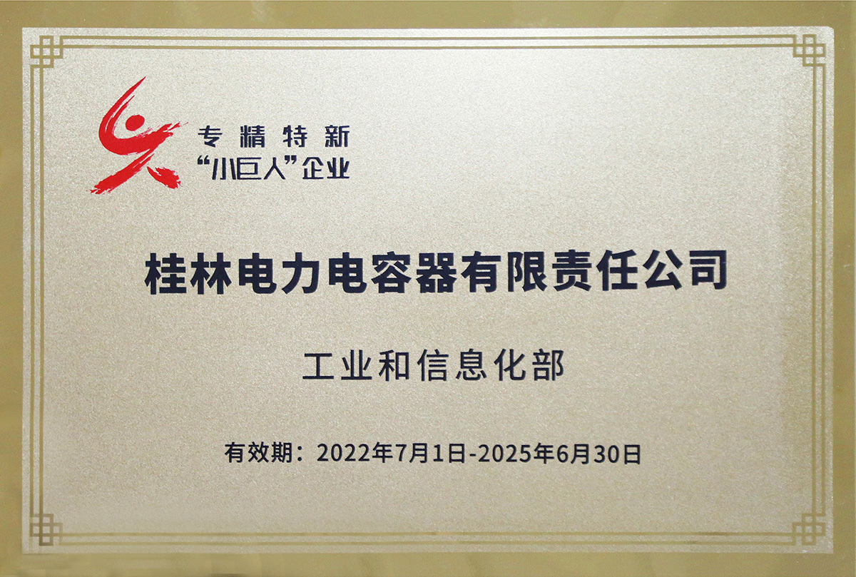國(guó)家級(jí)專精特新“小巨人”企業(yè).jpg